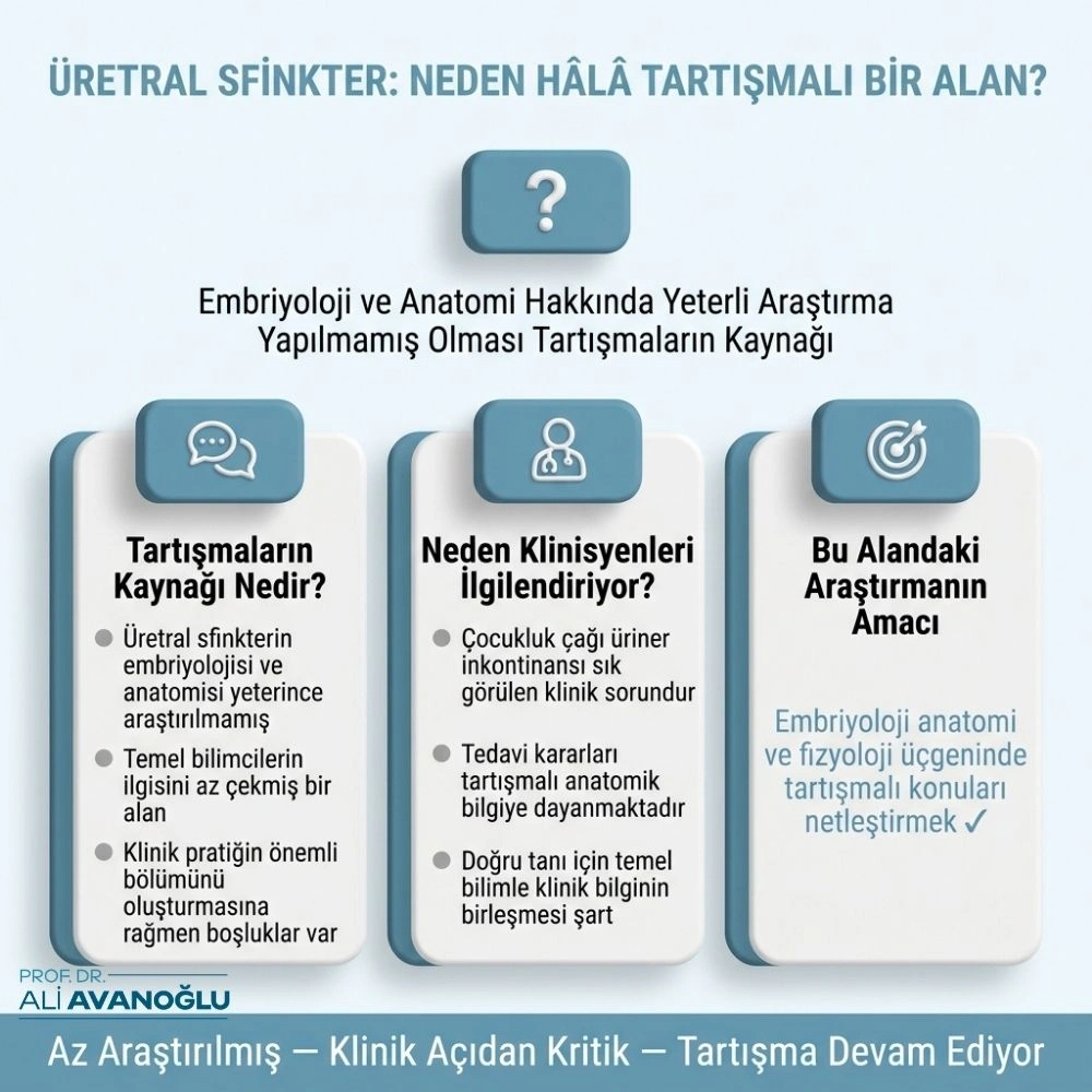 üretral sfinkter kadınlar kulubü