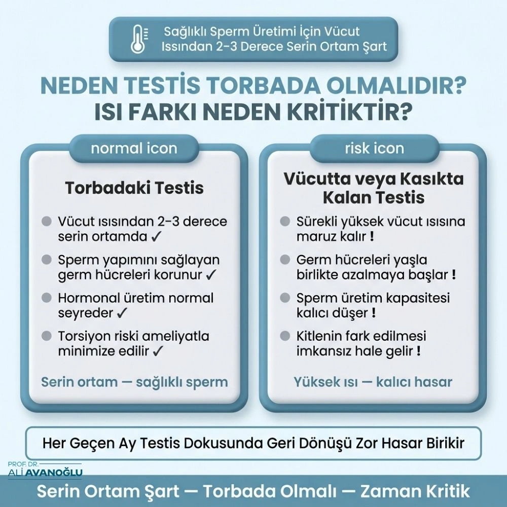 bebeği inmemiş testis ameliyatı olanlar