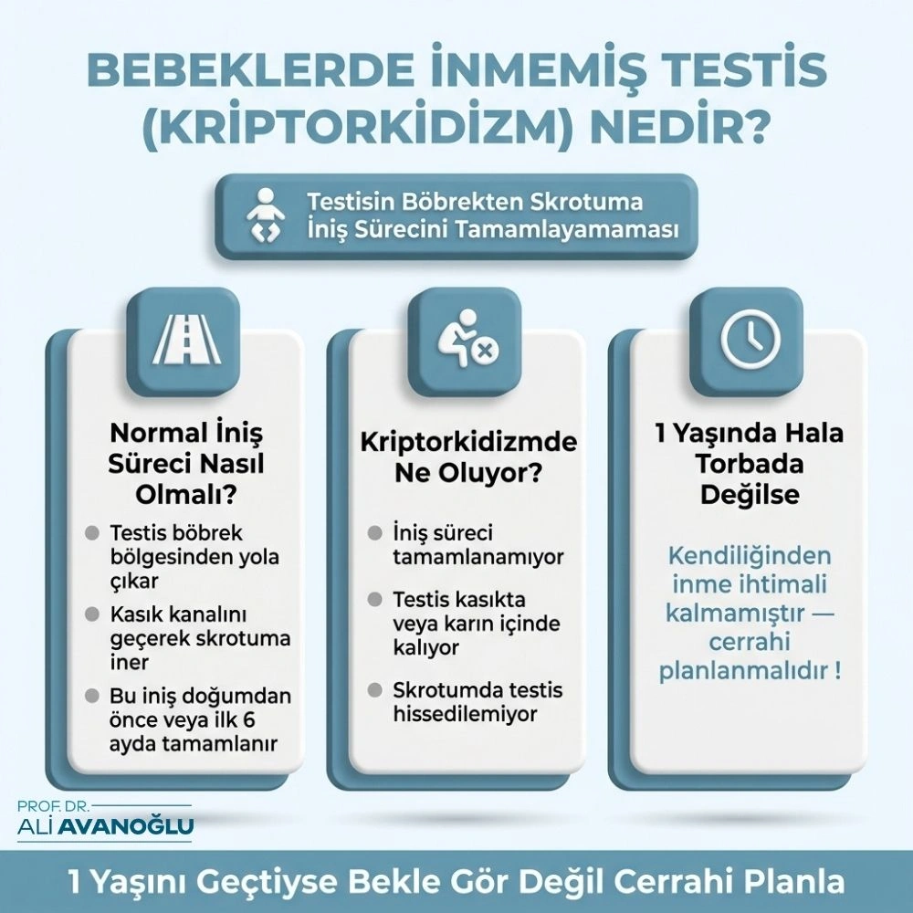 inmemiş testis ameliyatı