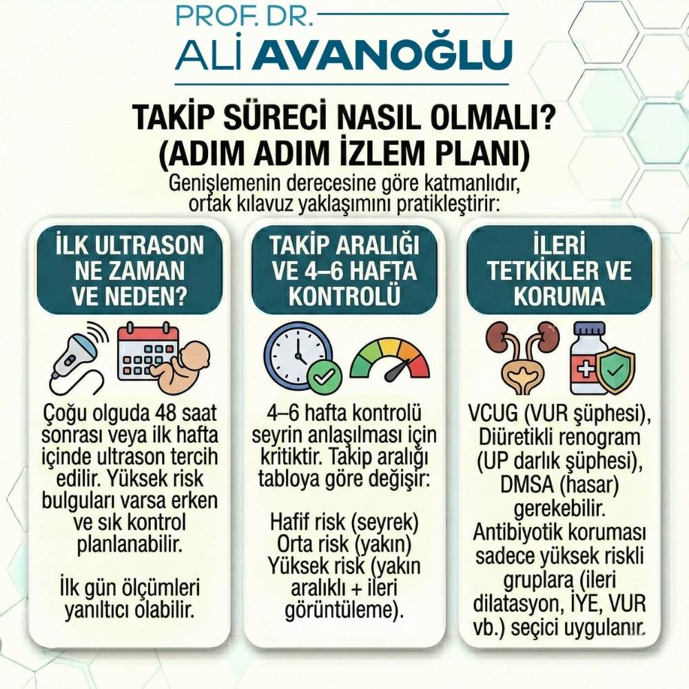 Bebeklerde böbrek Büyümesi Belirtileri