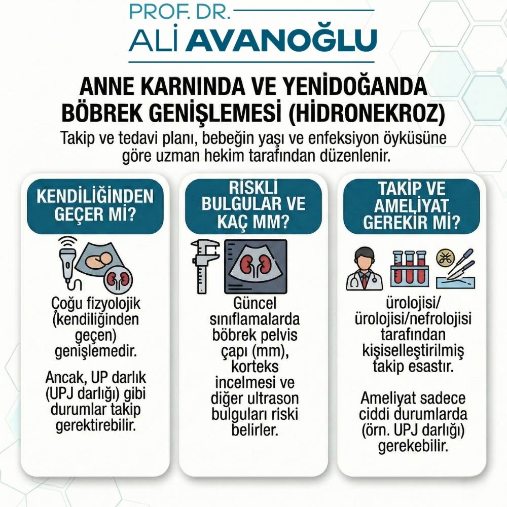 Bebeklerde böbrek genişlemesi Belirtileri