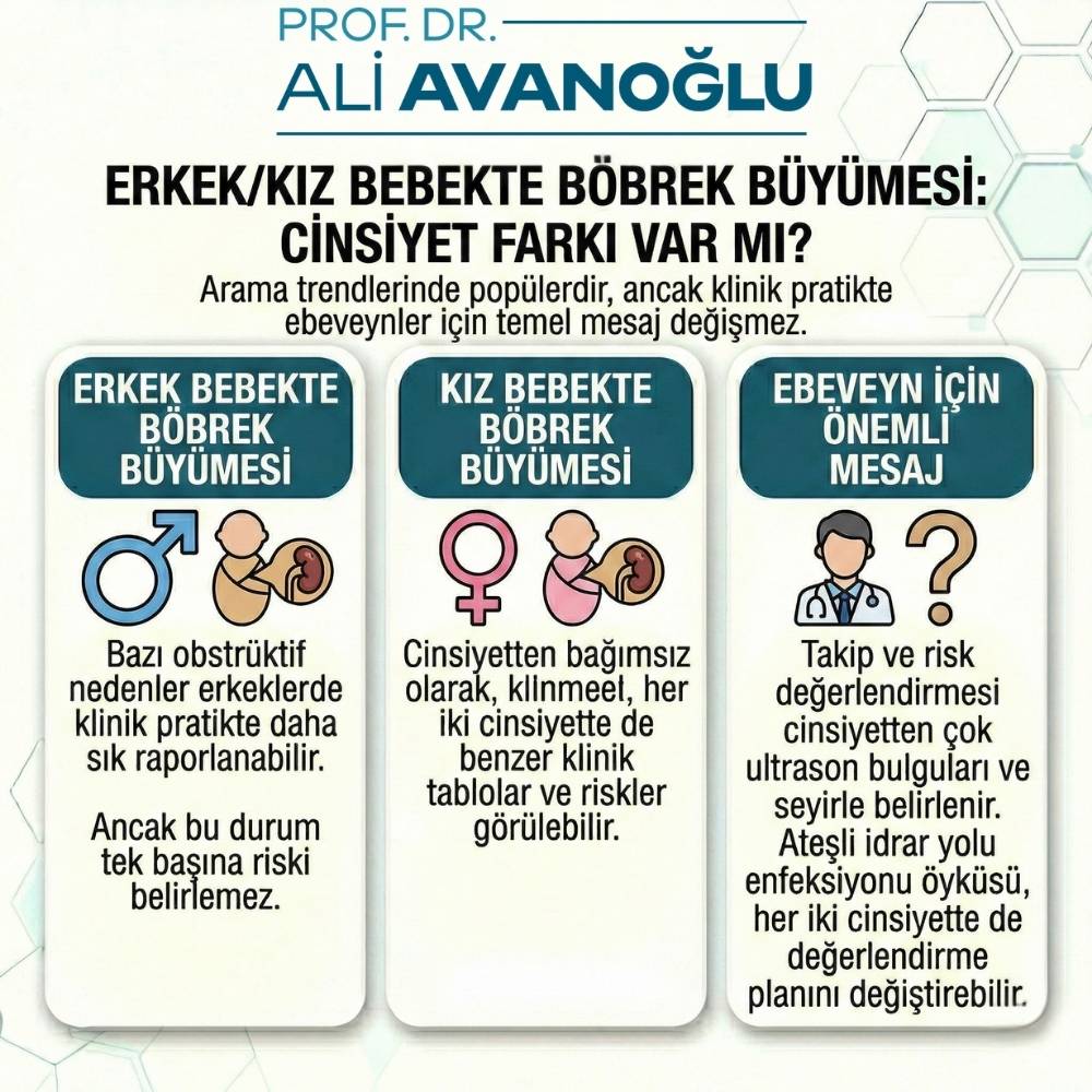 Bebeklerde böbrek genişlemesi Kadınlar Kulübü