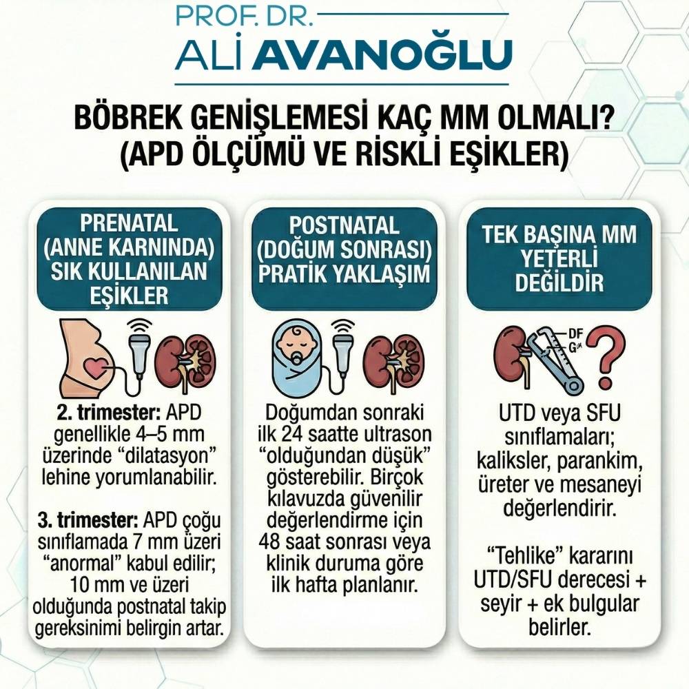 Bebeklerde böbrek genişlemesi Neden Olur