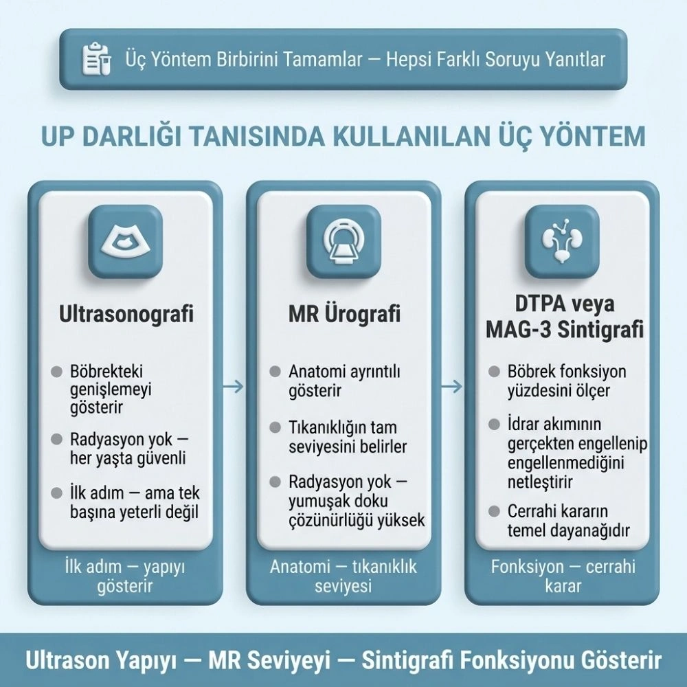hidronefroz nedir