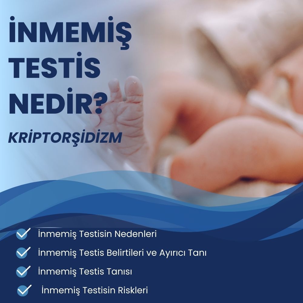 inmemis-testis-kriptorsidizm-nedir