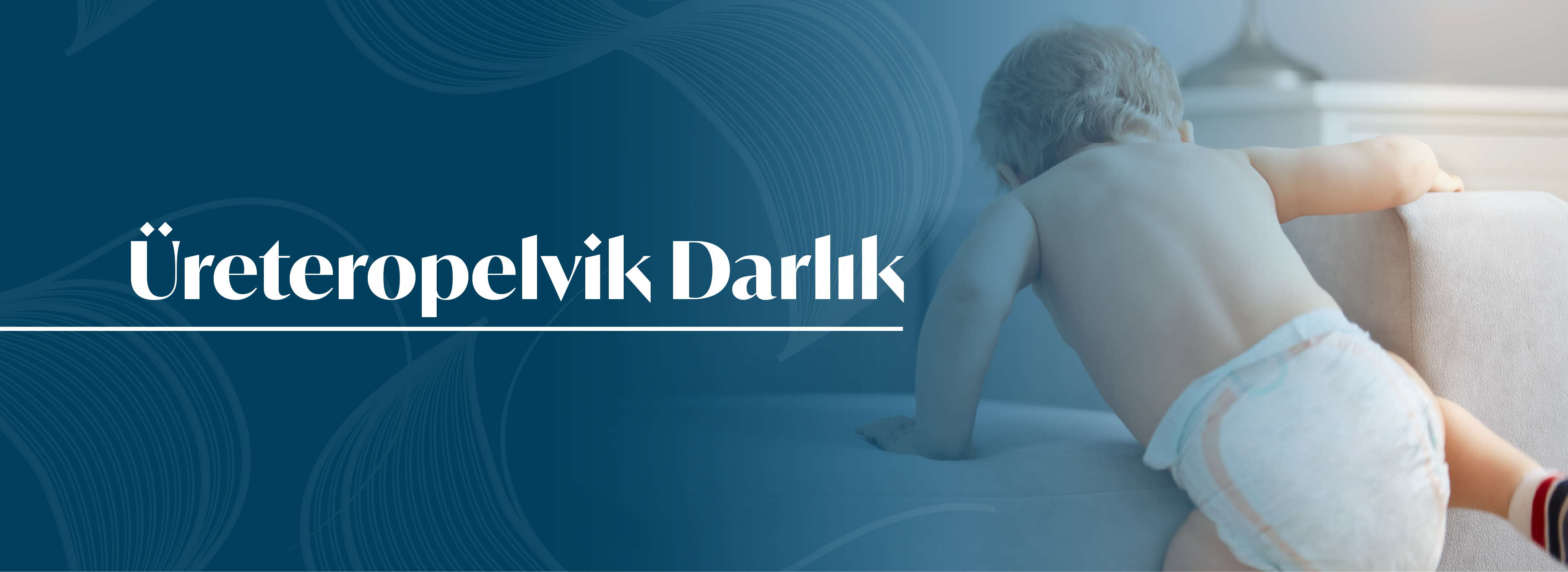 Prof. Dr Ali Avanoglu