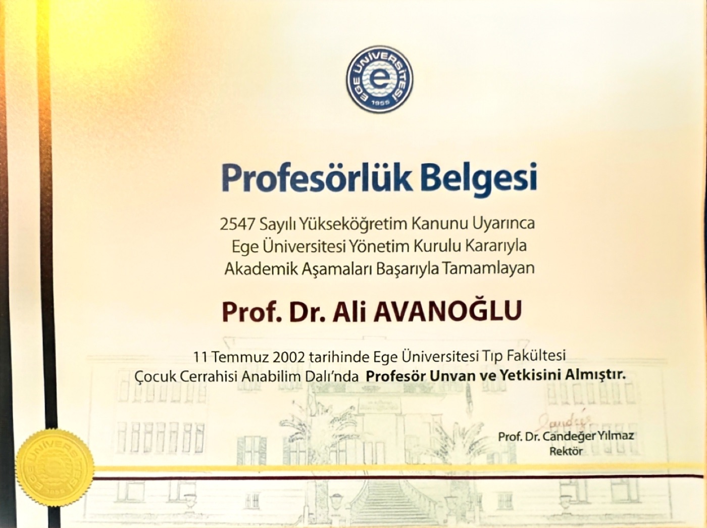 Ali Avanoğlu'nun çocuk cerrahisi profesörlük belgesi