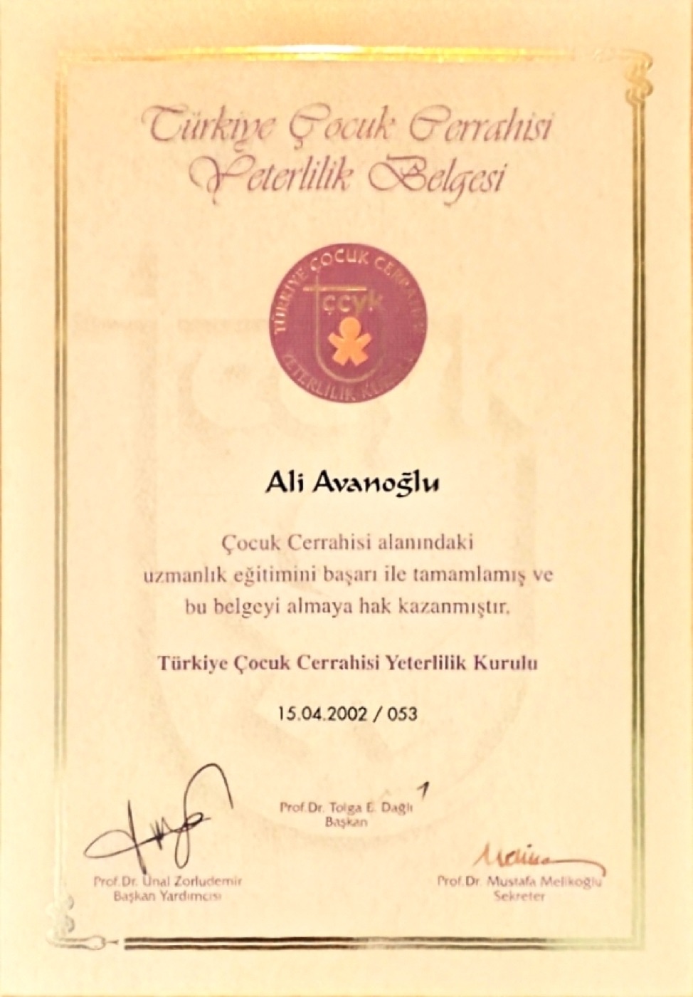 Ali Avanoğlu'nun Türkiye Çocuk Cerrahisi Yeterlilik Kurulu belgesi